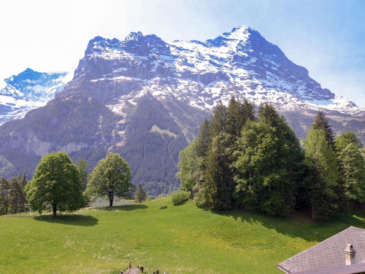 Apartment Chalet Blaugletscher By Interhome Grindelwald Exterior photo