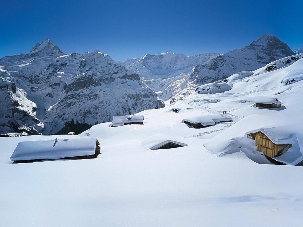 Apartment Chalet Blaugletscher By Interhome Grindelwald Exterior photo