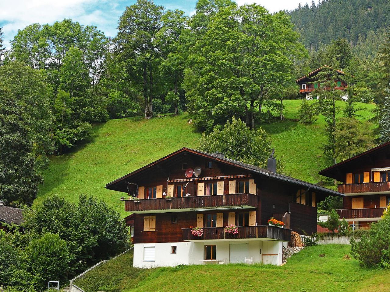 Apartment Chalet Blaugletscher By Interhome Grindelwald Exterior photo